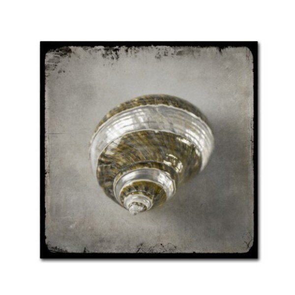 LightBoxJournal 'Golden Sea 3' Canvas Art, 18x18, Trademark Fine Art, Mfr#: ALI10465-C1818GG